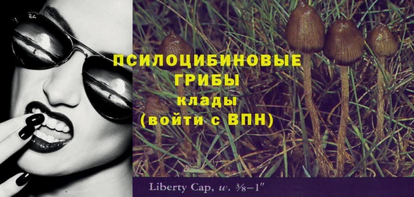 mix Богородицк
