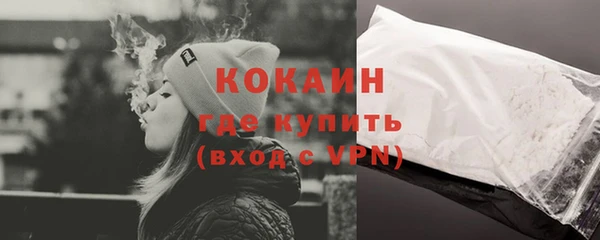 mix Богородицк