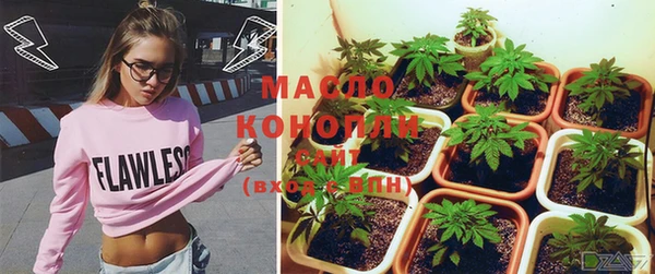 mix Богородицк