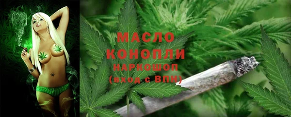 mix Богородицк